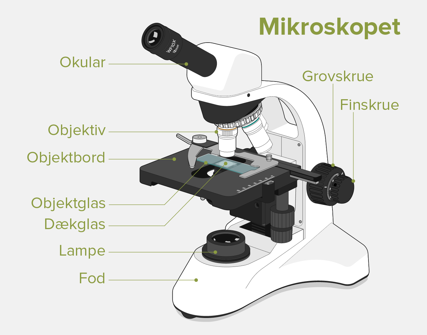 Предметный столик микроскопа