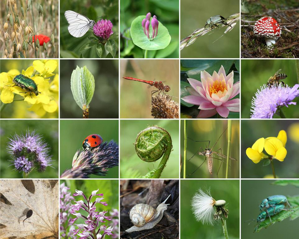 106779881 shutterstock 106779881