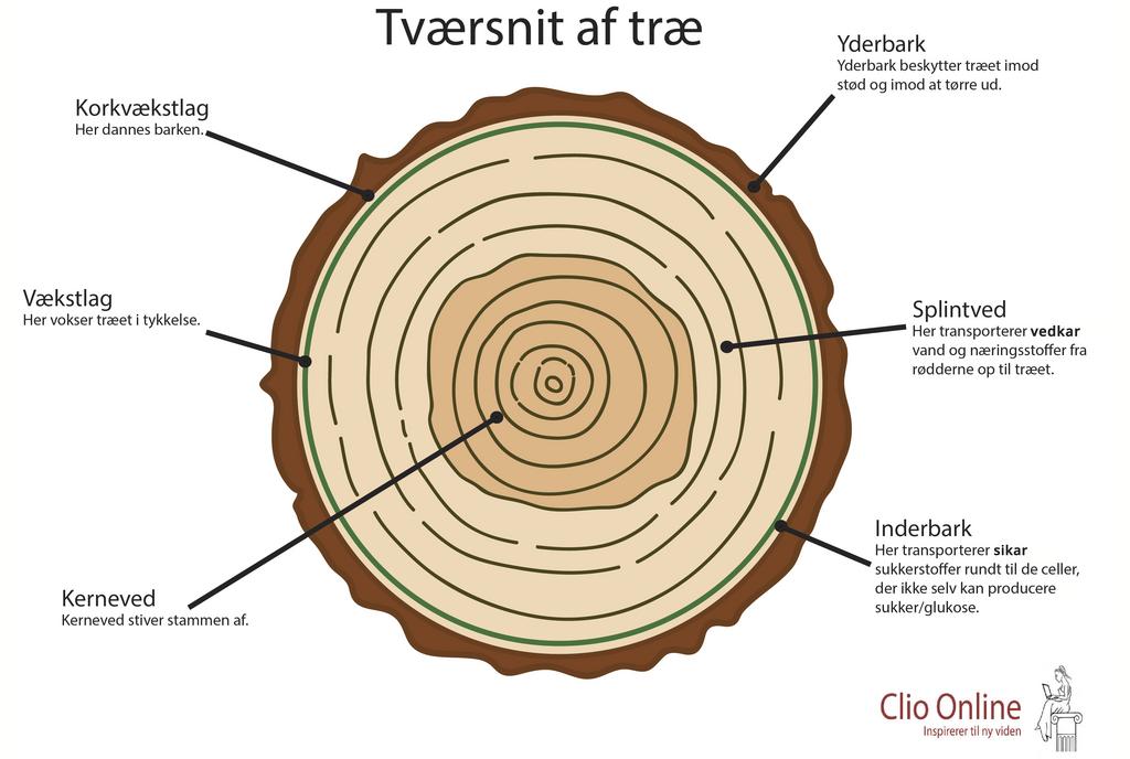 Sikar og vedkar - undervisningsmateriale til biologi